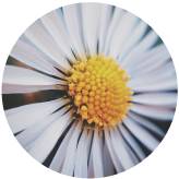 跟癌症的爸爸告别,和病重的父亲告别