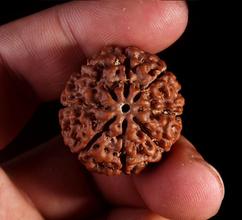 印尼金刚怎么盘,印尼金刚有盘玩价值吗