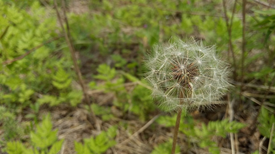 明明可以靠颜值偏偏你要拼实力,明明能靠脸偏偏拼才华
