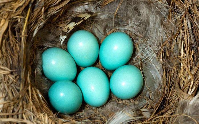 蓝色的球鞋大盘点,蒂芙尼蓝球鞋