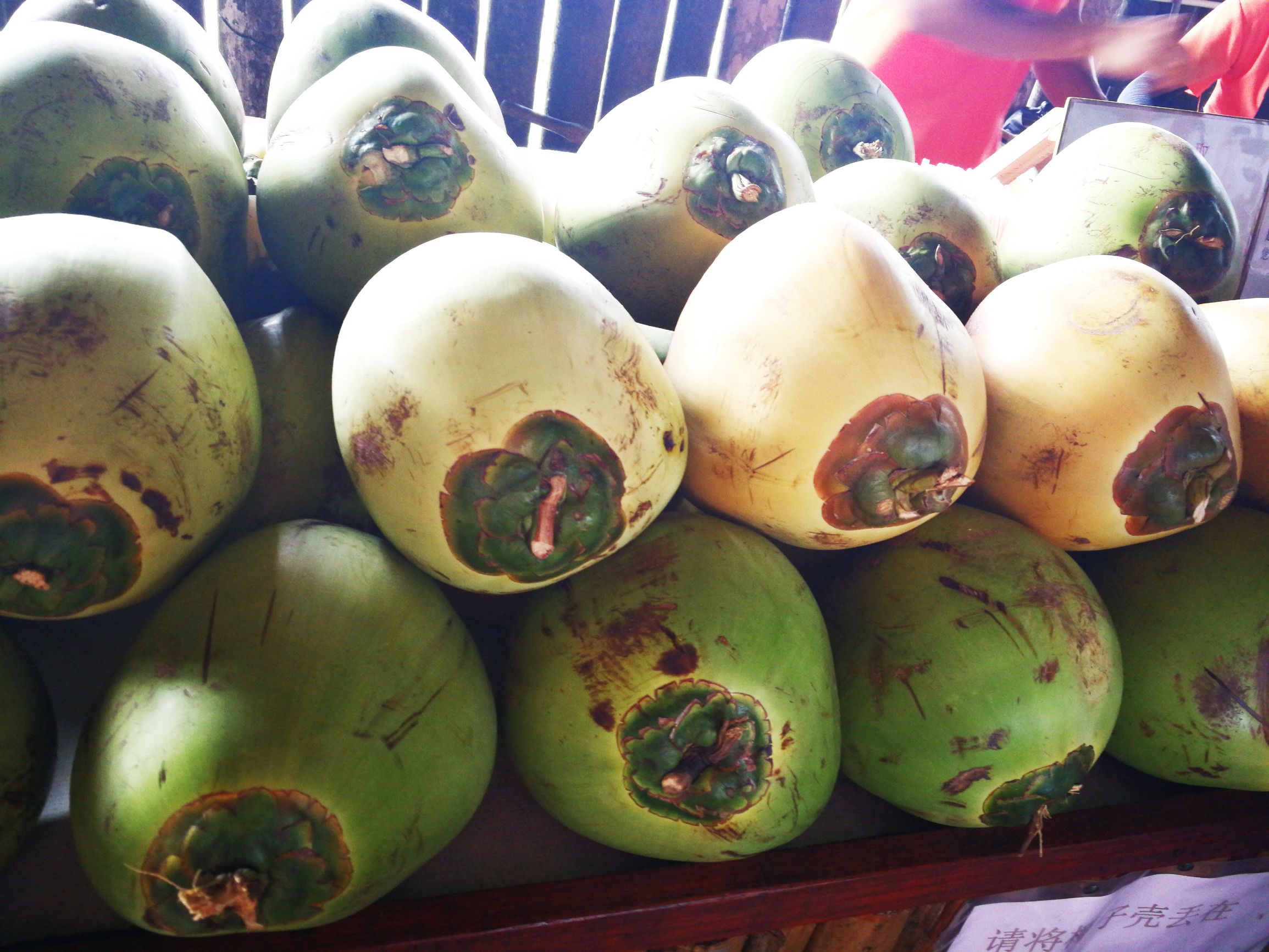 沙巴自由行超详细攻略,第一次去沙巴订的酒店怎么样