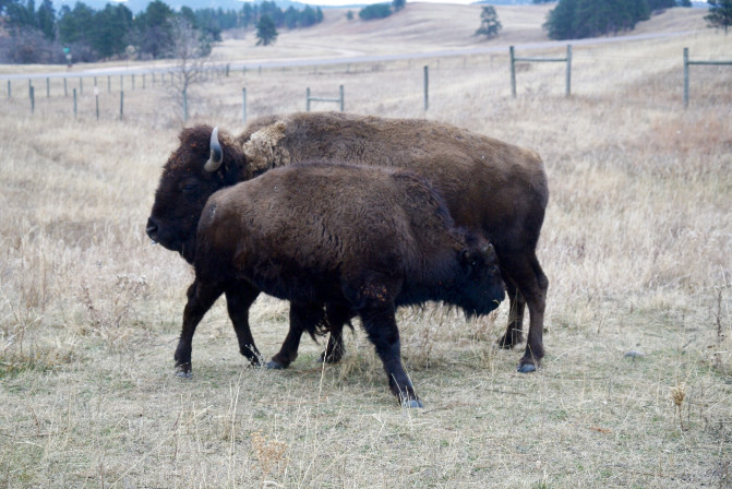 科罗拉多州到洛杉矶,科罗拉多州五月自驾
