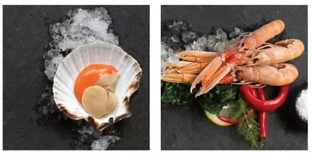 新西兰海鳌虾刺身,爱尔兰鳌虾刺身优惠