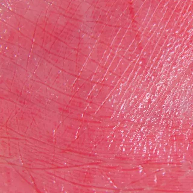 最好看的唇色排行 (最经典的唇色)