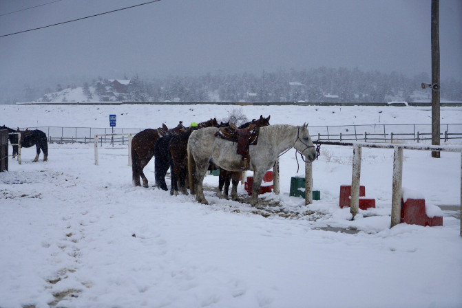 科罗拉多州到洛杉矶,科罗拉多州五月自驾