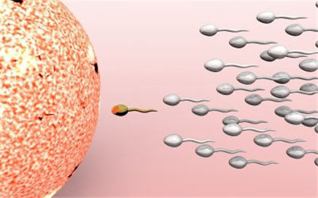 2022年冷知识大全,2020年的冷知识大全