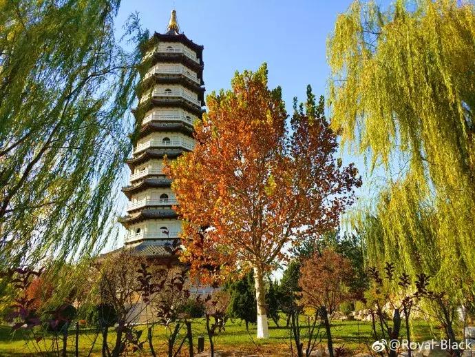 天津一日游必去的十个景点介绍,天津旅游必去十大景点1日游攻略