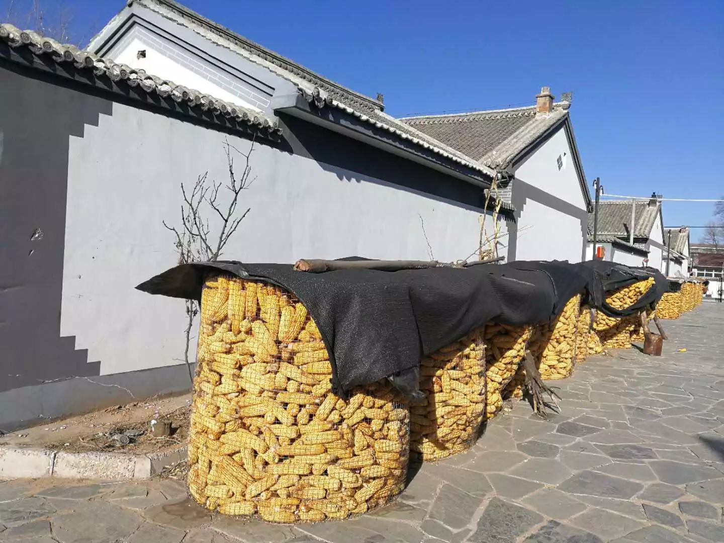 柳沟豆腐宴几个人最划算,柳沟豆腐宴几号最好吃