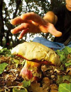 食物中毒的常用的急救措施有,食物中毒怎么解毒上吐下泻