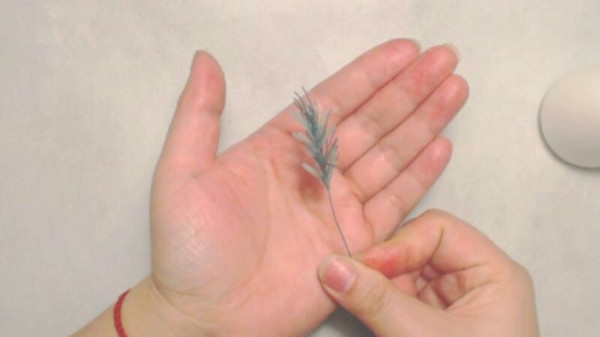 手工圣诞树该怎么做,diy创意圣诞树圣诞节必备小手工