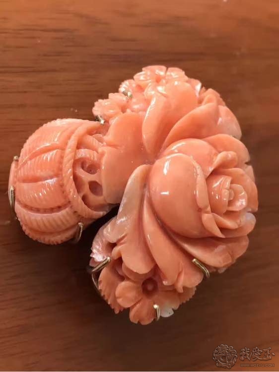 你印象中的珊瑚是怎么样的？关于价格看色的珊瑚究竟如何？来看看