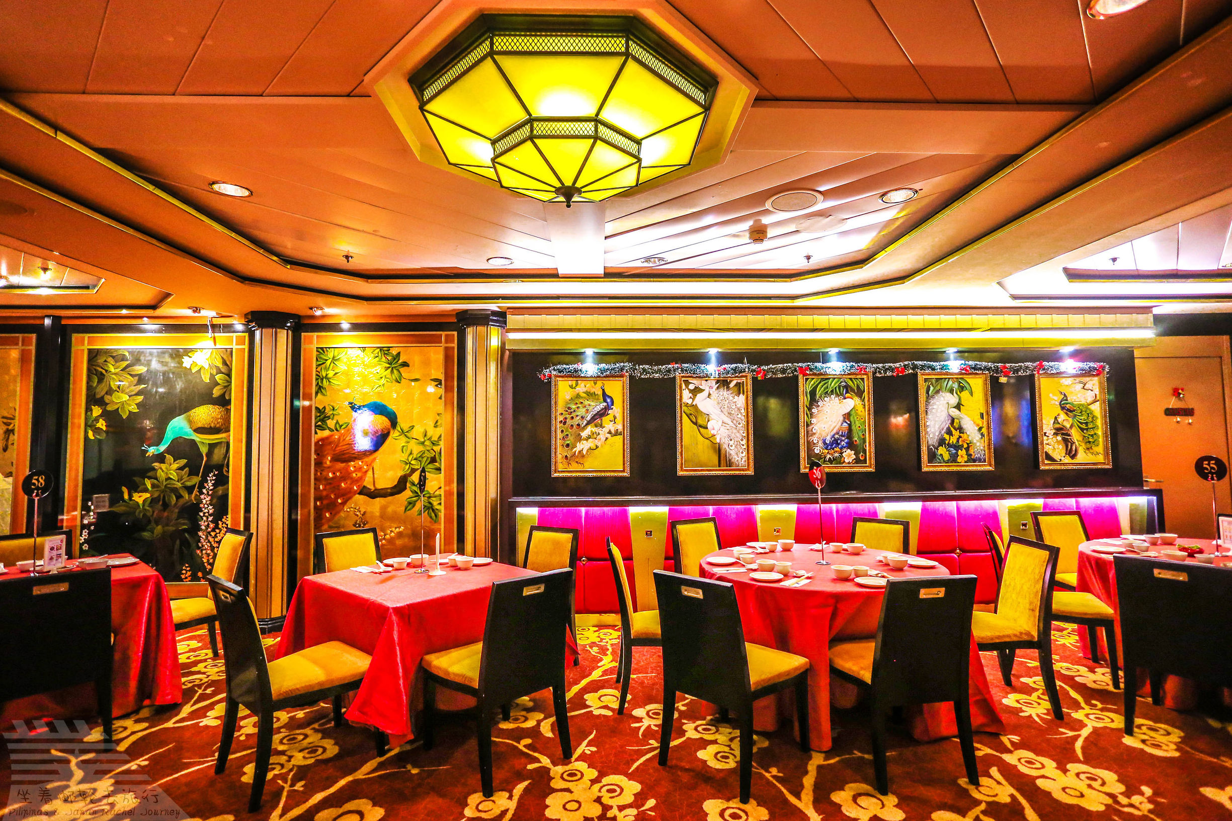 邮轮攻略性价比,邮轮全攻略教你怎么玩