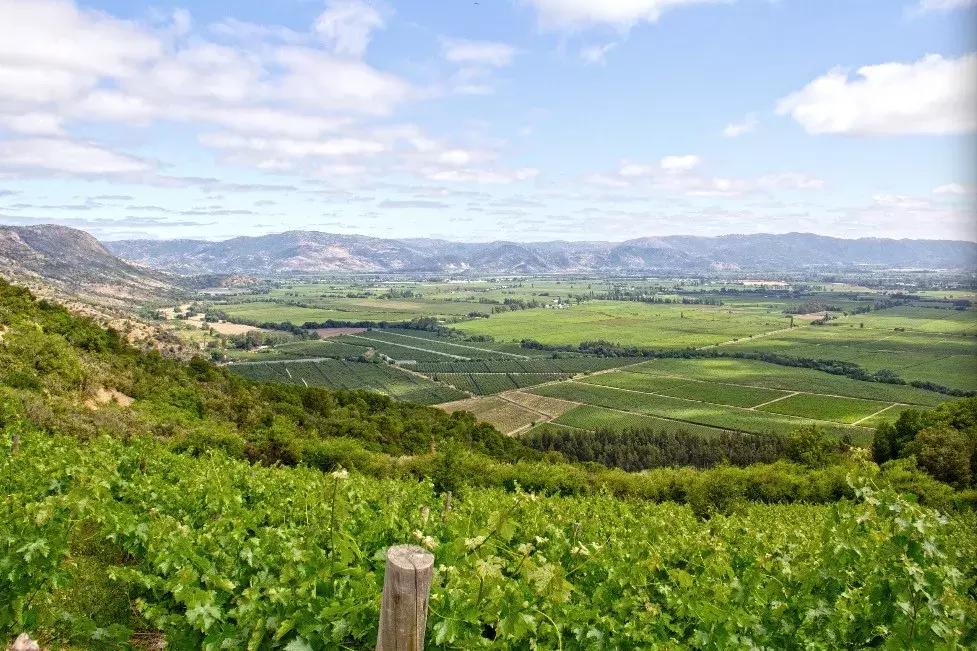 新手怎么挑选适合自己的红酒,新手入门怎么挑选红酒