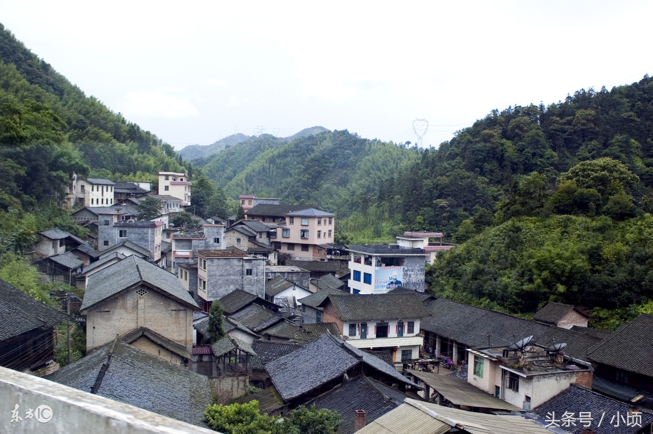 农村创业点子没钱怎样创业致富,农村女人创业开店赚钱