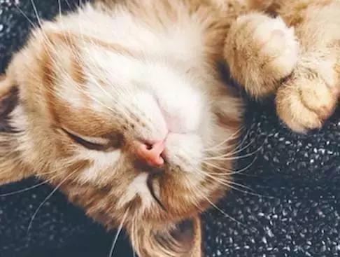 2017年你过得好吗累吗,2017年你得到了什么