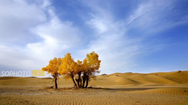 图片摄影师怎么赚钱,图片库摄影师一个月收入