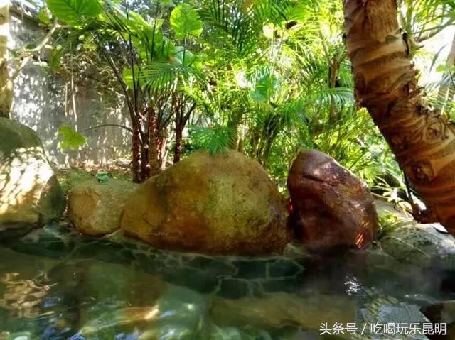 这两天德宏拽伤了，和全世界对话都是：我20度！