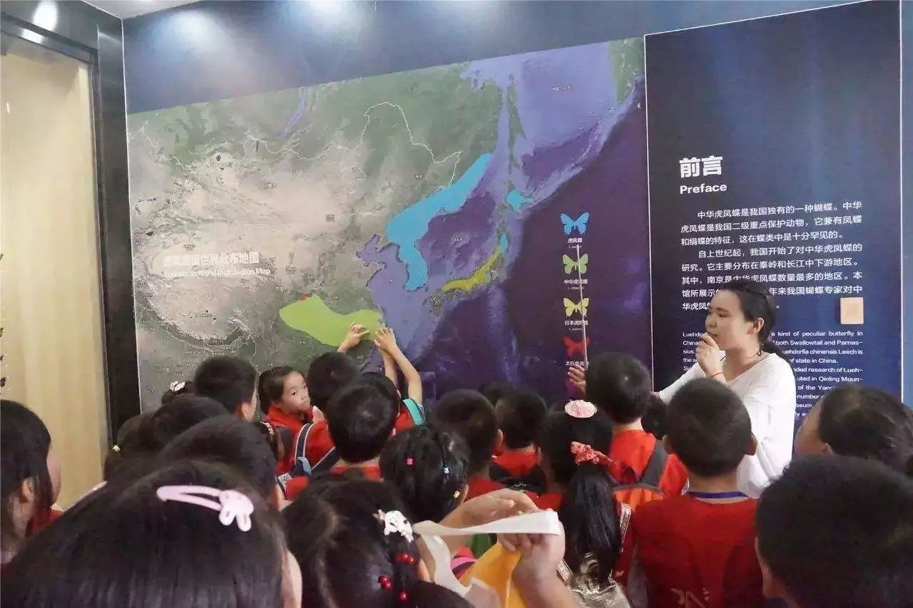 亲子推荐│蝶梦山丘—让蝶入梦、与蝶共舞