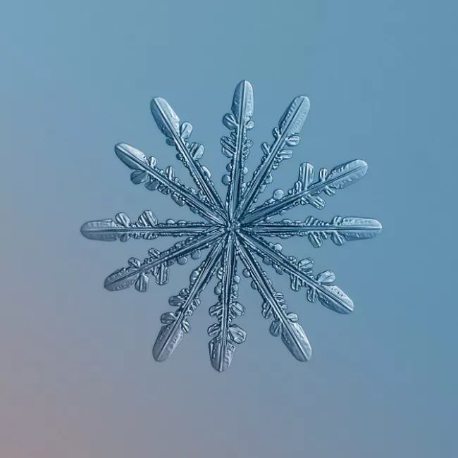 历时8年用微距镜头拍摄的雪花,超级微距拍摄雪花
