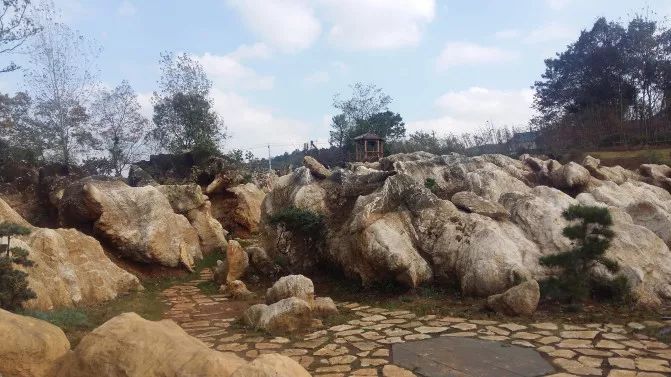 亲子推荐│蝶梦山丘—让蝶入梦、与蝶共舞