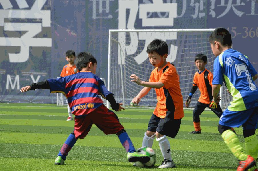 迪士尼城堡迪士尼乐园,家门口的迪士尼乐园