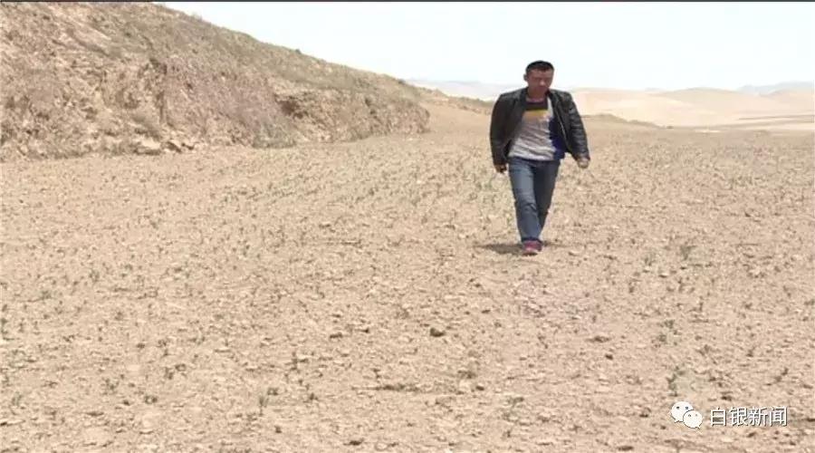 探访80后创业者平川区黄峤镇峤山村村民贠建诚