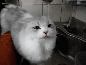 女生做梦梦到你了怎么回,女人梦到好多冰水在流