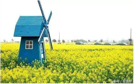 过去免费的致富的好商机,过去免费热门的致富点子