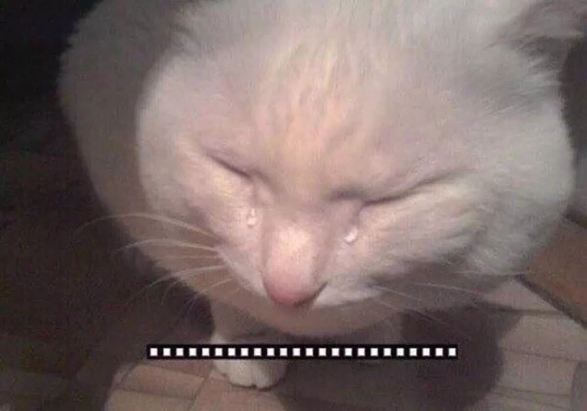 一口气曝光留学圈五个秘密,留学时那些不可告人的秘密