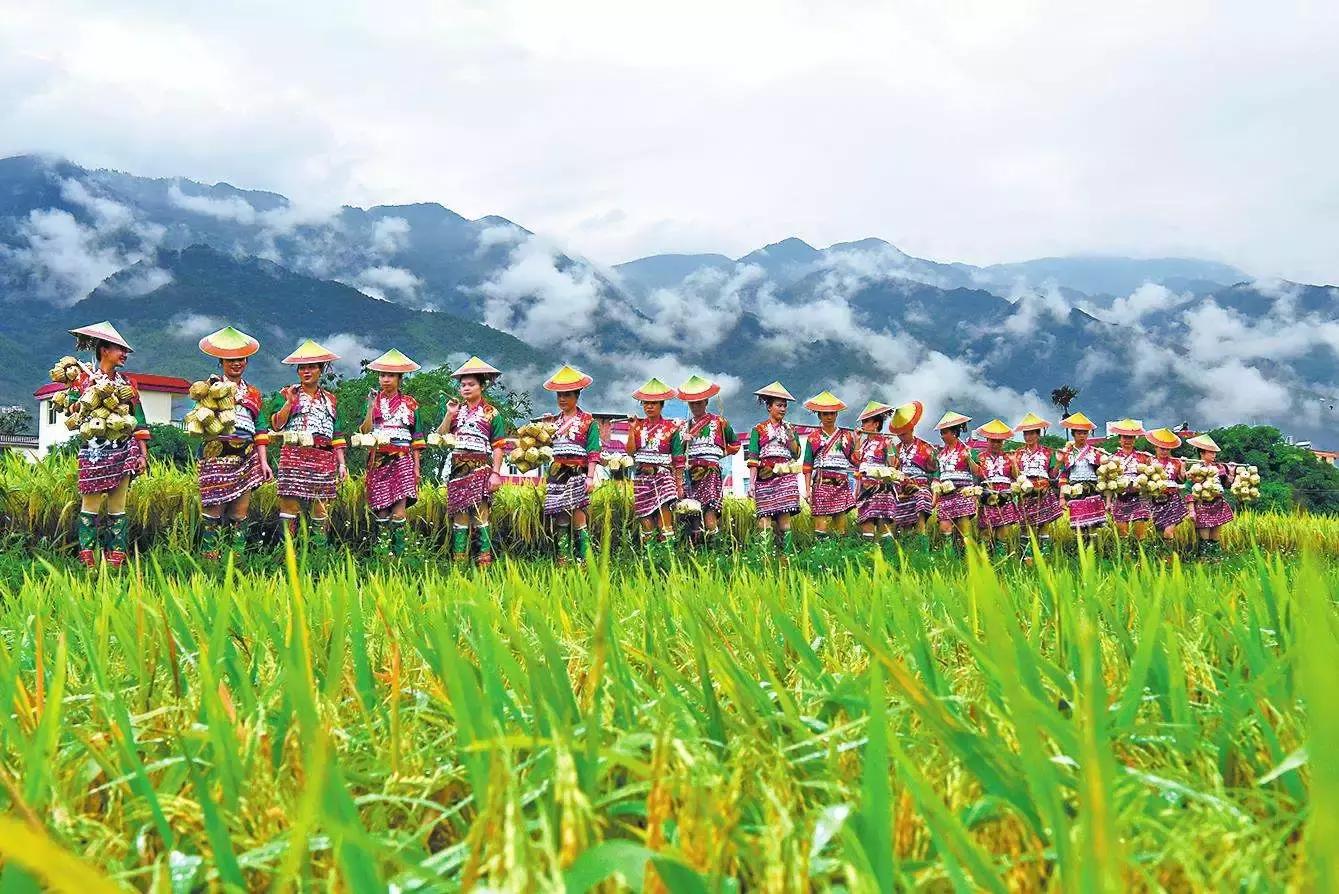 昆明坐火车绿皮去西双版纳,昆明坐高铁去西双版纳沿途风景