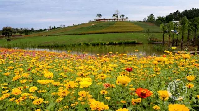 川南大草原有什么玩的,川南大草原什么时候好玩