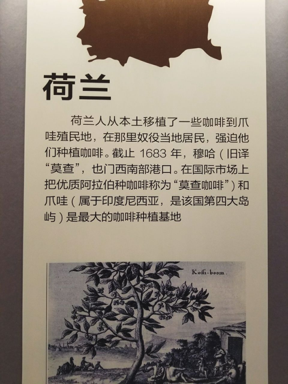 去云南适合买什么茶,云南最有名的咖啡在哪里