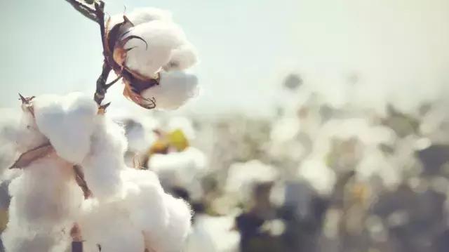 床上四件套和被子哪个贵,床上四件套100多和300多区别