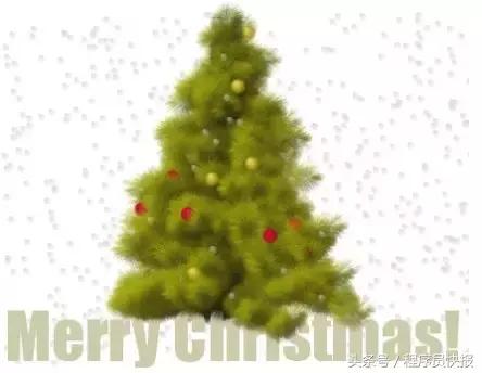 程序员圣诞节代码,程序员祝女朋友生日快乐代码