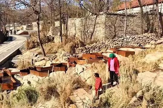 有什么项目可以拿国家补贴,国家扶持的项目补贴能给吗