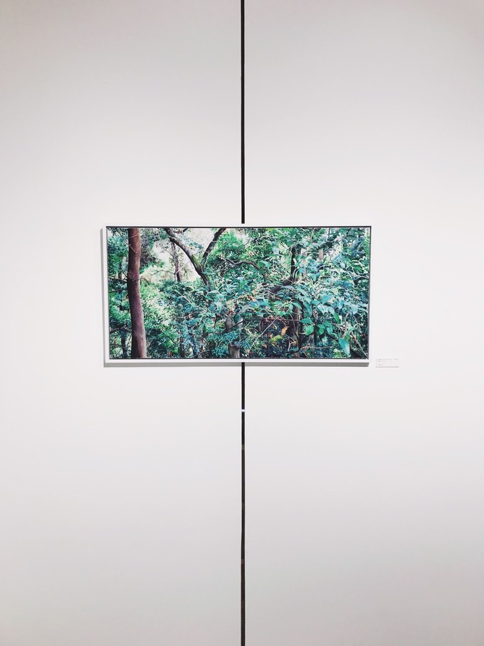 游记成都市内2日行,成都三日吃住行详细攻略