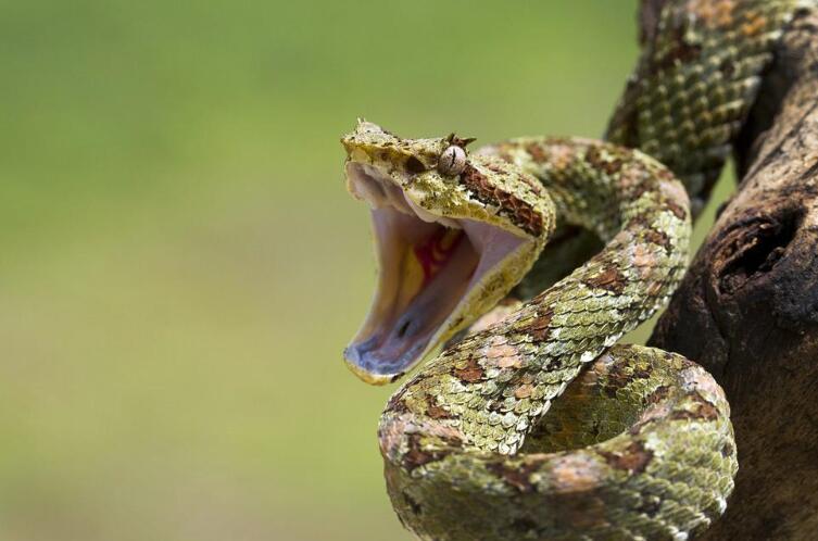 生肖运势大揭秘十二生肖的财运,十二生肖今年的财运和运势如何啊