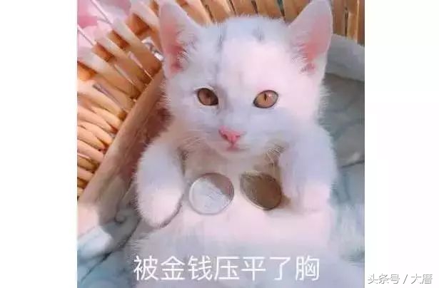 热门的美容仪真的好用吗,大几千的爆款美容仪真的值得吗