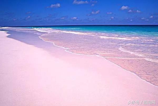 白本护照推荐去哪,白本护照旅游去哪个国家比较好