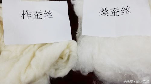 蚕丝被涤纶被面,220*240的被子蚕丝被