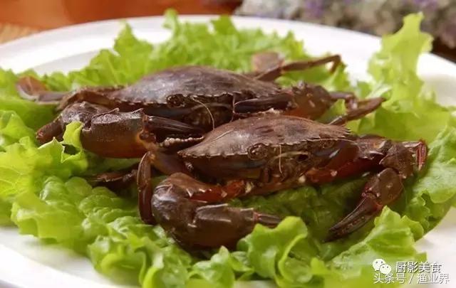 中国的螃蟹,螃蟹大赏的图片