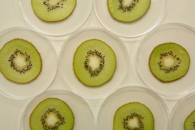 富含维生素c的水果神仙吃法,助消化维生素高的水果