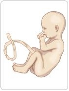 7个月孕妇身体有什么变化,孕期7个半月胎儿动得厉害