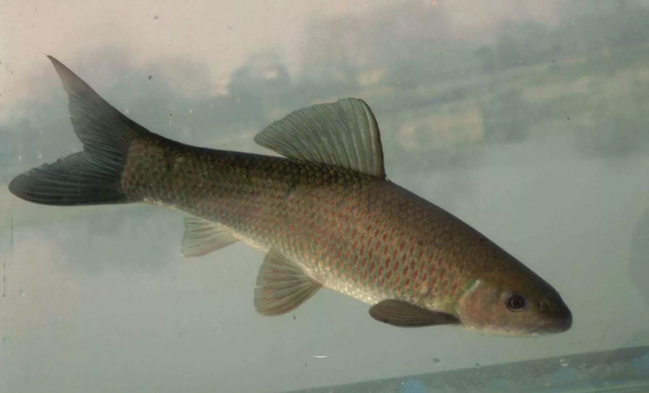 南北有别完整版,南北有别免费阅读