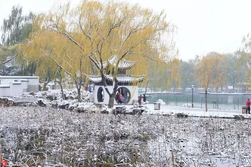 年底好消息来袭！大北京这些东西统统免费！还有精彩的活动等着你，不知道就亏大了！