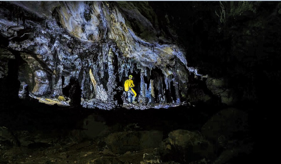石晶花在神秘玉龙洞绽放
