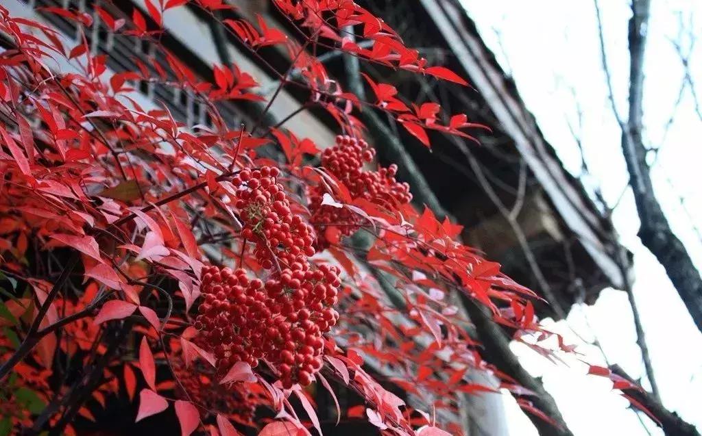 面对人生的风景句子,人生的风景由你自己决定