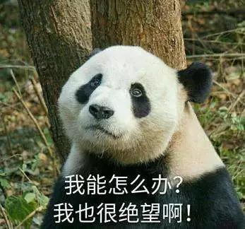 日本死宅标准,日本女生眼中死肥宅