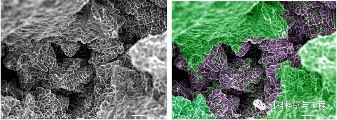 投票表决素材模板,投票素材图片图文