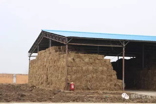 揭秘奶粉市场,黑河探店揭秘